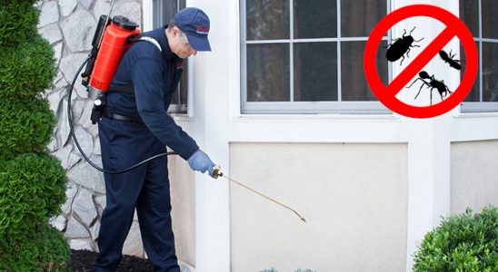 Güçlükonak Tahtakurusu İlaçlama böcek ilaçlama ve haşere kontrolü — ilaclama-tr.com
